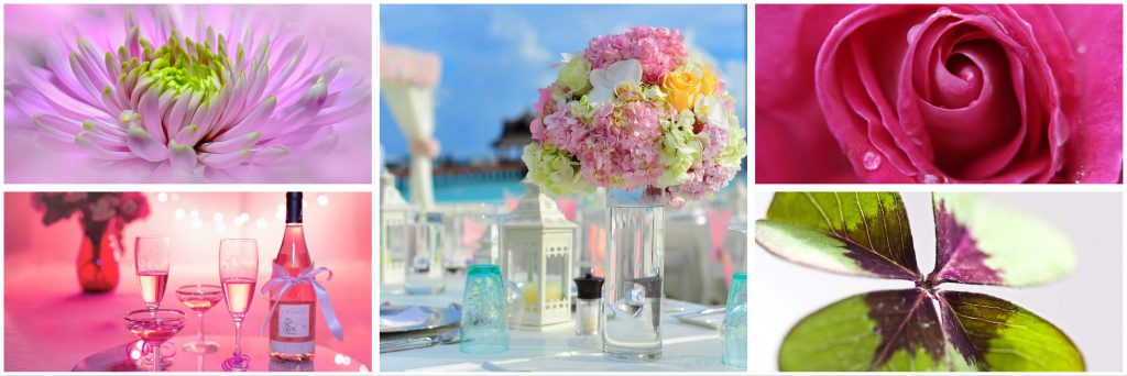 Florist Hoyerswerda