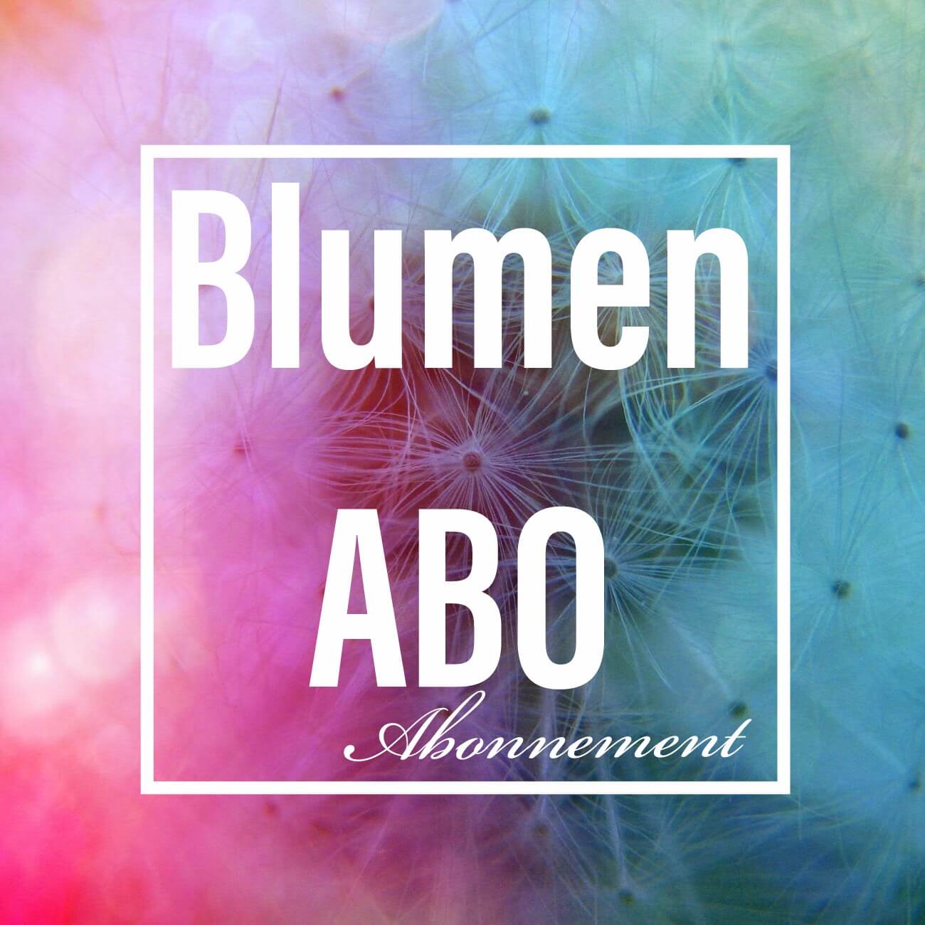 Blumen Abo von DieBlumenBringer.de