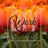 Work Shop orange Tulpen