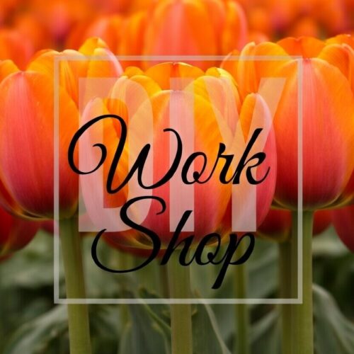 Work Shop orange Tulpen